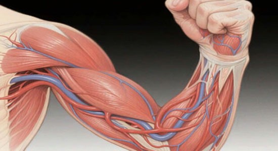 5-Amino-1MQ 500mcg | Shaanxi BLOOM Tech Co., Ltd 5-Amino-1MQ 500mcg | Shaanxi BLOOM Tech Co., Ltd